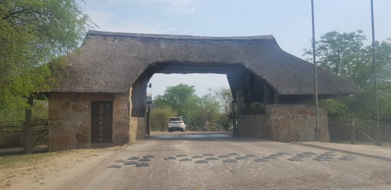 Leaving a Piece of Your Heart in Kruger