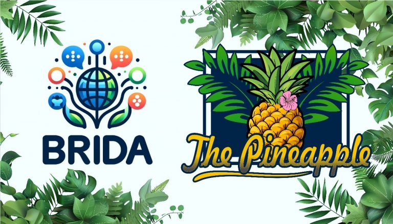 The Pineapple Slice 07 The edition that wants to be opened before your coffee goes cold