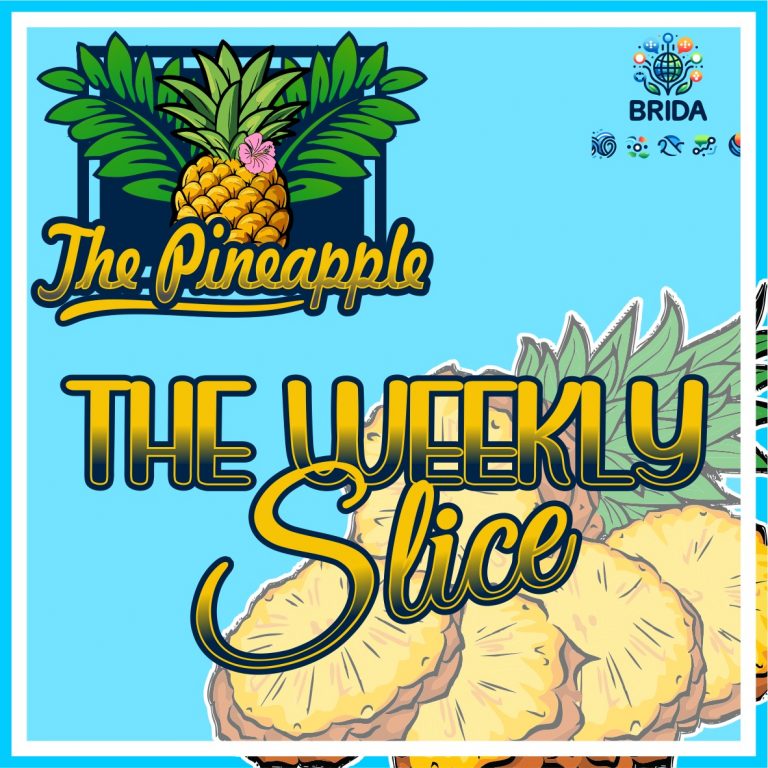 The Weekly Slice 15: Six Seats, One Broken Wi-Fi, and the Frost That Makes Us Sweeter