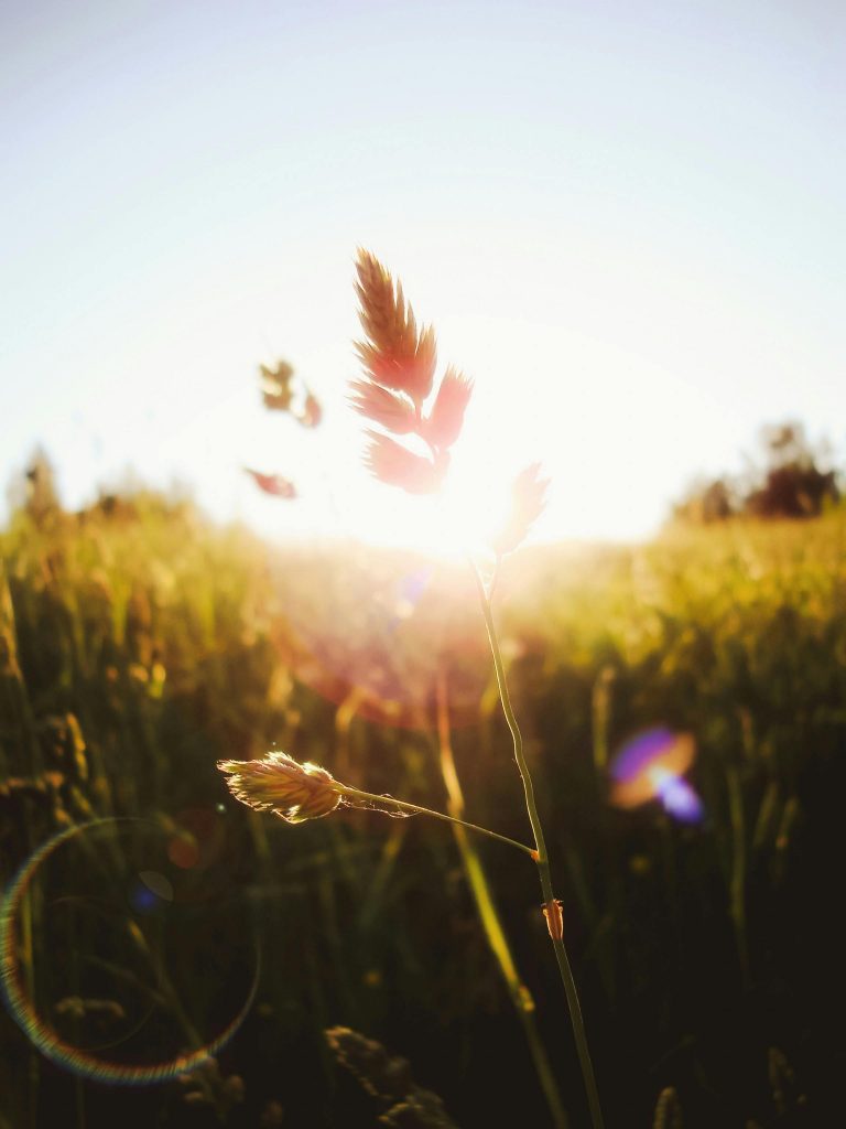 Biological baselines & the secret life of energy