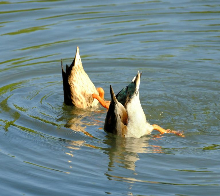 When Boom Booms, Pink Energy, and Rainy-Day Philosophy Collide