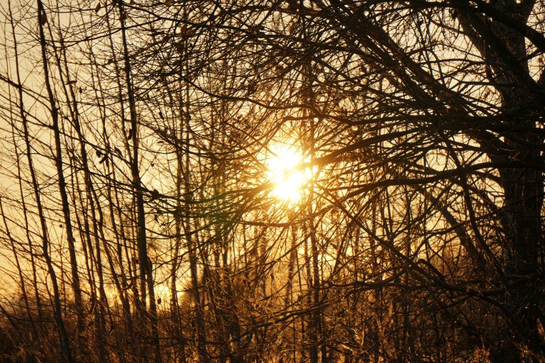 The Secret of the Sun-Spot Zen