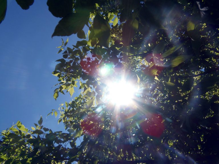 Heat, Homework, and Bullseyes: Surviving Summer One Day at a Time
