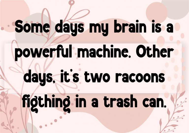 Two Raccoons in a Trash Can: On Fancy Cars, Tight Shirts, and Kindness