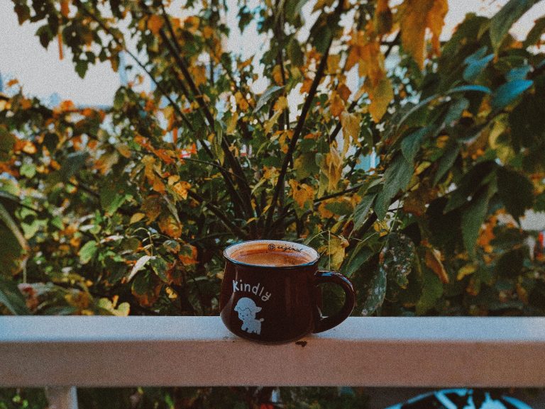 A Saturday With Nothing To Do