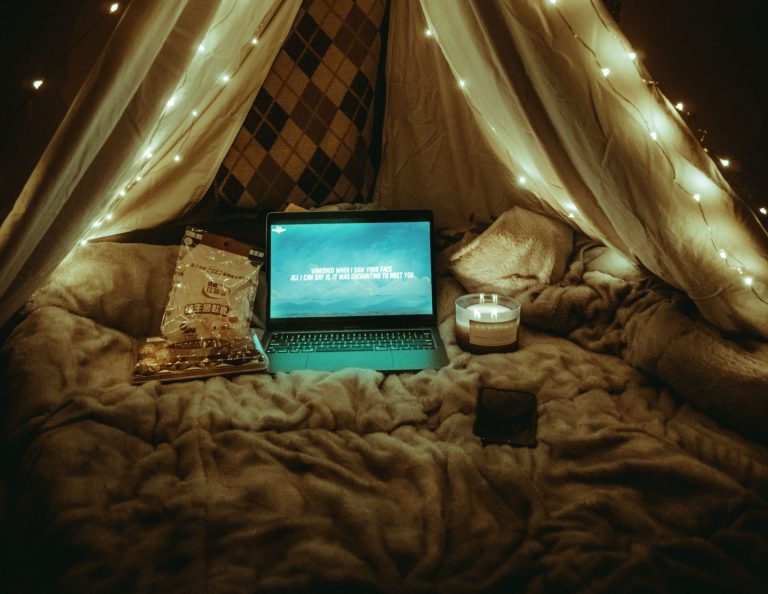 The View from the Blanket Fort.