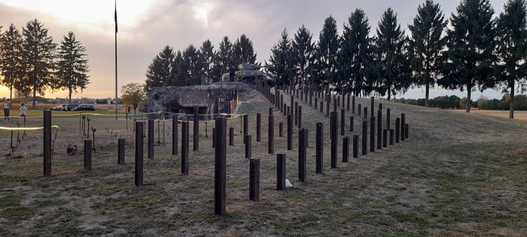 A Wild Boar, a Bunker and Breakfast Schnapps